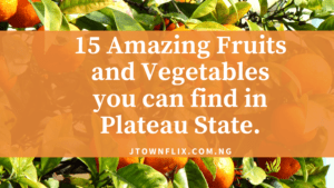 Read more about the article 15  Amazing Fruits and Vegetables you can find in Plateau State