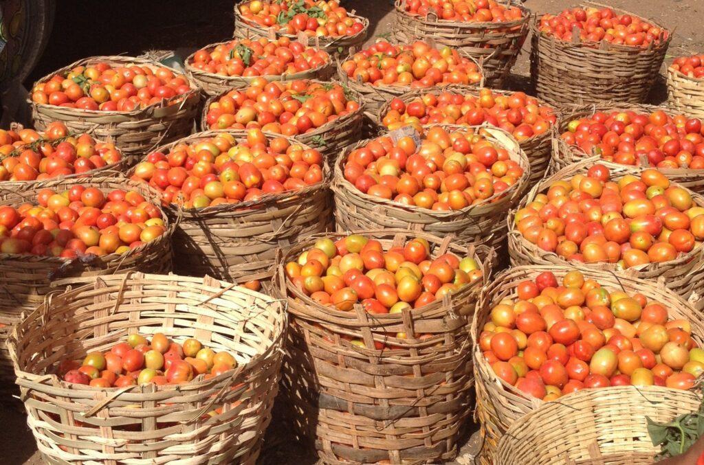 15-Amazing-Fruits-and-Vegetables-you-can-find-in-Plateau-State