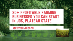 Read more about the article 20+ Profitable Farming Businesses You Can Start In Jos, Plateau State